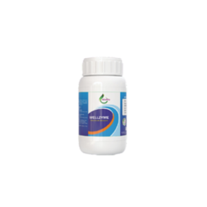 WELLZYME